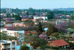 cityscape, buildings, homes, trees, Harare, CKZV01P02_08.1041