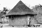 Thatched Roof Houses, Homes, Grass Roof, roundhouse, desert, buildings, building, Sod, CKZV01P05_01B