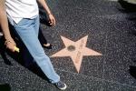 Michael Jackson, Sidewalk Star, landmark, CLAV06P11_17