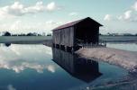 Reflecting Lake, Water, 1950s, CMAV01P10_09