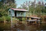 Swamp, Home, Bayou, Dock, Water, Pearl River, wetlands, CMLV01P09_09.1729
