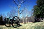 Confederate Cannon, Fort Donelson, Memorial for Confederate Soldiers, Artillery, gun, racist, CMTV02P05_19