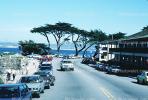 Cypress trees, Cars, automobile, vehicles, Shore, Shorline, CNCV01P12_11