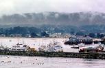 Harborm, Hills, Boats, Monterey Shoreline, Shore, CNCV01P13_11