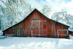 snow, tree, Ice, Cold, Frozen, Icy, Winter, red barn, Mariposa County, CNCV02P13_01