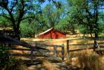 Barn, Fence, Gate, Trees, summer, hot day, sunny, dry, outdoors, outside, exterior, rural, building, CNCV03P10_13.1732
