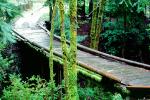 wooden bridge, Mill Valley, Marin County, CNCV06P11_16