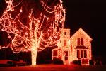 Decorated Home, Trees, Lights, Nighttime, Plaistow, New Hampshire, COEV01P13_14
