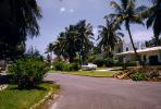 Street, Home, House, Palm trees, lawn, 1950s, COFV02P10_13.1737