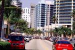 Boulevard, Cars, Palm trees, buildings, Automobile, Vehicle, Miami, COFV02P15_13