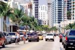 Boulevard, Cars, Palm trees, buildings, Automobile, Vehicle, Miami, COFV02P15_14