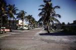 Palm Trees, street, Fort Meyers Beach, 1950s, COFV05P02_09