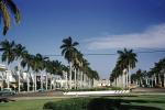 Palm Trees, cars, Palm Beach, 1954, 1950s, COFV05P08_10