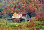 Barn, Forest, Woodlands, Autumn Colors, Appalachia, near Fontana, CORV01P02_10.1738