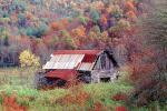 Barn, Forest, Woodlands, Autumn Colors, Appalachia, near Fontana, CORV01P02_11