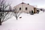 Home, House, Snowy Front Lawn, icy, beagle, Winter, COVV03P08_11