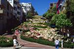 Hortensia Flowers, Hydrangea, Hairpin Turns, Switchback, S-curve, curviest, homes, houses, buildings, CSFV11P13_03