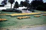 early 1950s, Conservatory Of Flowers, 1950s, CSFV22P01_07