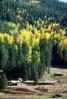 Aspen Trees, Forest, Ranch House, Homes, CSMV01P01_01.1743