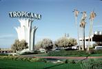 Tropicana, Hotel, Casino, palm trees, 1963, 1960s, CSNV06P05_16