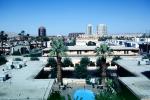 Palm Trees, Swimming Pool, Hotels, Hotel, Casino, building, cityscape, skyline, CSNV06P15_08