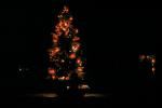 Christmas Tree, Lights, cold, Home, House, domestic, building, Wheat Ridge, Colorado, CSOV03P06_13