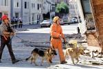 Rescuers, Dogs, German Shepard, Marina district, Loma Prieta Earthquake (1989), 1980s, DAEV01P14_07