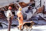 Rescuers, Dogs, German Shepard, Marina district, Loma Prieta Earthquake (1989), 1980s, DAEV01P14_10