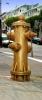 Mythical Golden Fire Hydrant, Panorama, DAFD01_002