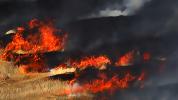 Grass Fire, Flames, DAFD02_266C