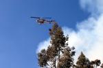 Cal Fire UH-1H Super Huey, DAFD04_094