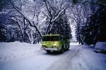 Fire Engine, snow, ice, cold, trees, forest, woodland, road, DAFV03P11_17