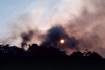 grass fire, Sonoma County, DAFV03P13_10