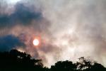 grass fire, Sonoma County, DAFV03P13_11