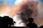 grass fire, Sonoma County, DAFV03P13_16