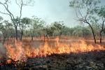 Bush Fire, Australia, DAFV04P03_12