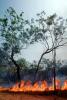 Bush Fire, Australia, DAFV04P03_14