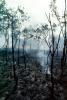 Bush Fire, Australia, DAFV04P03_17