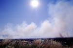 Bush Fire, Northern California, DAFV04P05_02