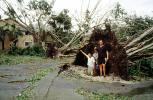 downed trees, felled, buildings, roots, home, house, people, Hurricane Francis, 2004, DASV06P12_07
