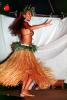 Woman, Lei, grass skirt, native, coconut bra, People, Hawaiian, Hula, EDAV04P01_08