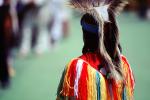 Male Dancer, ethnic costume, headdress, feathers, EDAV04P02_12