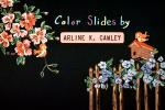 Color Slides by, Arline K. Cawley, bird, birdcage, flowers, cute, EIAV01P04_04
