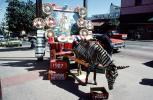 Burro in Tijuana, faux zebra, cars, 1987, EIPV02P08_15
