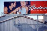 Budweiser Beer billboard, man, woman, EPBV01P12_08