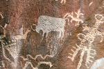Buffalo Petroglyph, EPHV01P02_15B
