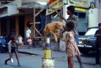 Acrobat Dog, Girl, Balancing on tin cans, Mumbai, ETBV01P05_14