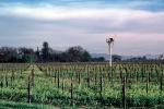 Rows of Vines, trees, hills, frost propeller, Wind Machine, FAVV01P07_01