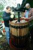 Oak Wine Barrels, press, crusher, FAWV02P04_05