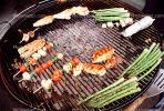 Meat, Steak, Chicken, Asparagus, Vegetables, Shish-Ka-Bob, Salmon, BBQ, Barbecue, FDNV02P09_06